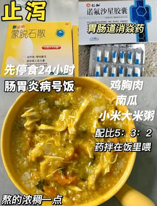 狗狗急性肠胃炎吃什么药?