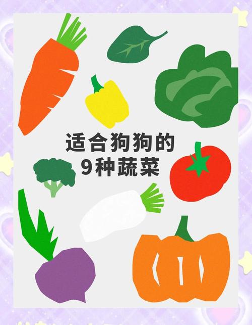 狗狗能吃什么青菜