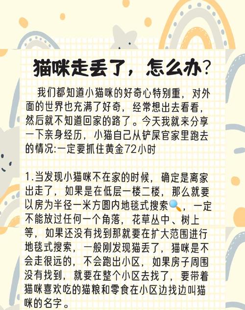 猫咪走丢了怎么办?