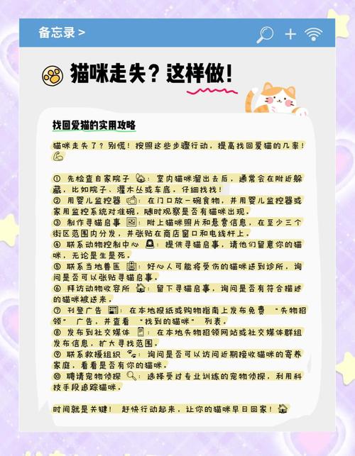 猫丢了很难过怎么办