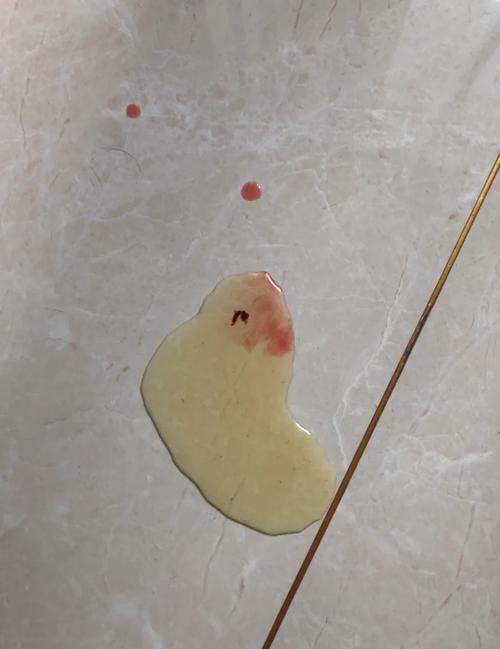 犬瘟热的狗狗便血