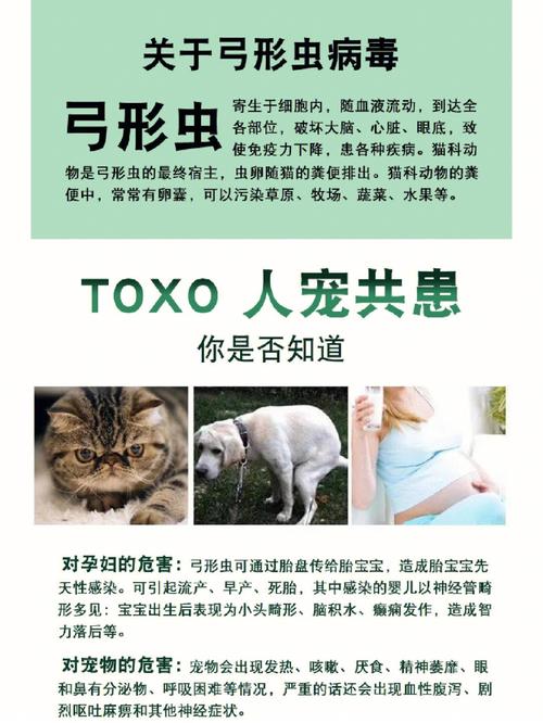 狗狗弓形虫病的诊断和治疗方法