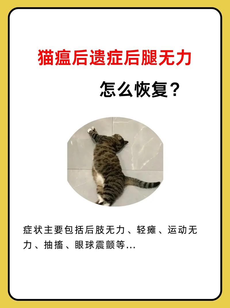 猫瘟治愈后治好以后,猫后肢后腿无力,走路不稳应怎么治疗?