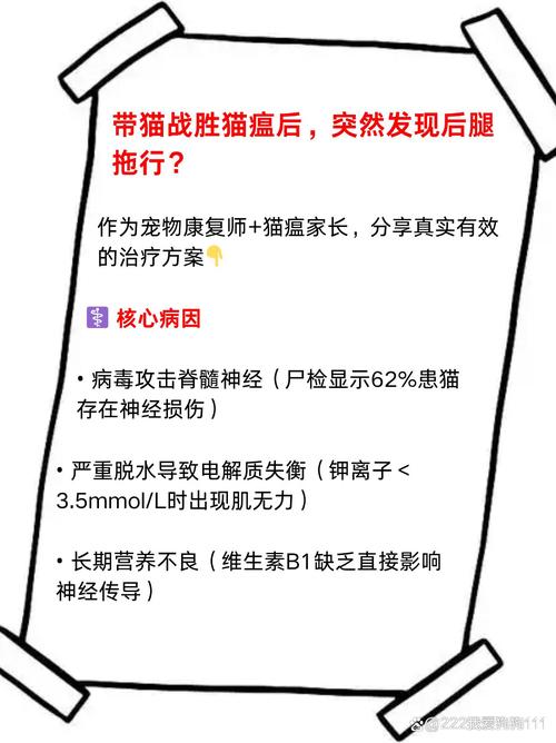 猫咪站不起来后腿无力