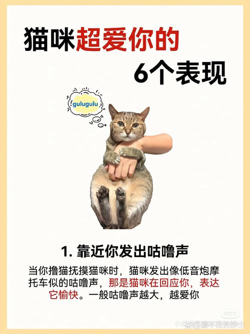 猫咪发出「呼噜噜」的声音是什么意思?