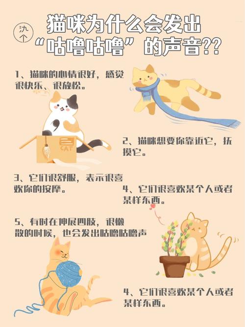 猫咪一直呼噜呼噜是什么意思