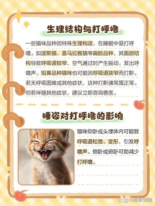 猫咪发出呼噜呼噜的声音是什么意思