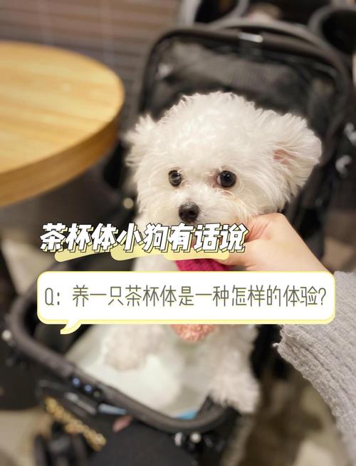 狗狗可以喝茶吗