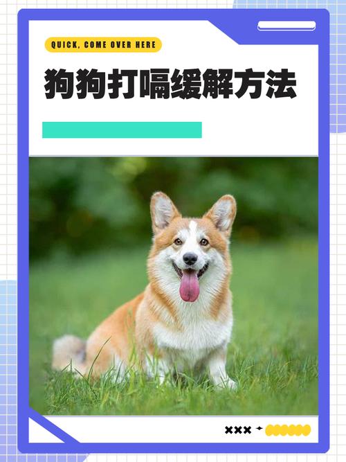 狗打嗝怎么办怎么止嗝