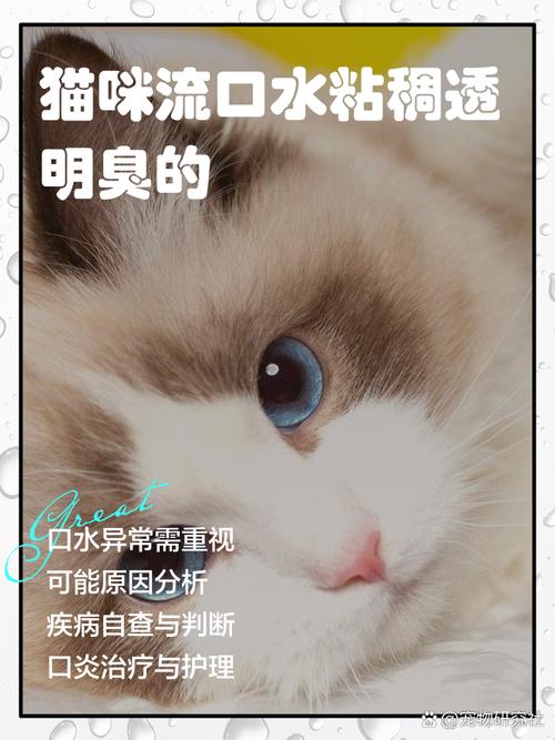 猫咪流口水粘稠透明能自愈吗
