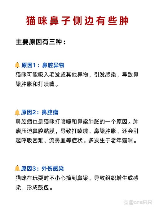 猫咪发出呼呼的声音