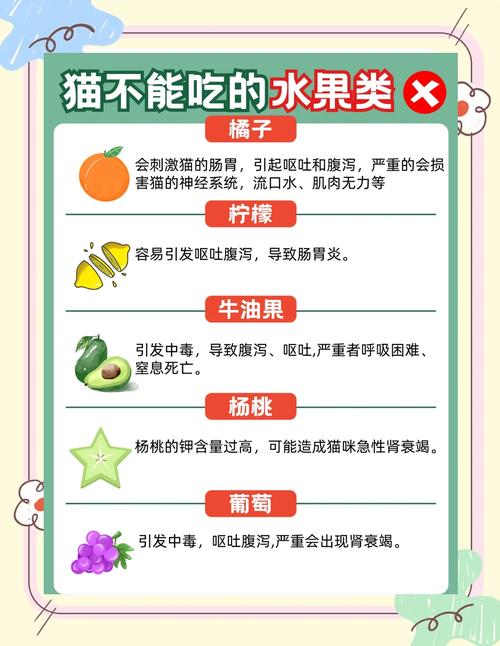 猫咪除了猫粮还能吃什么