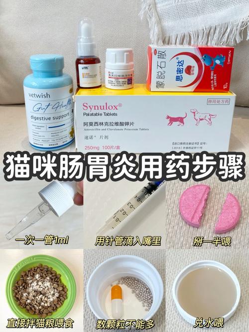 小猫误食异物吐出来拉稀怎么办吃什么药