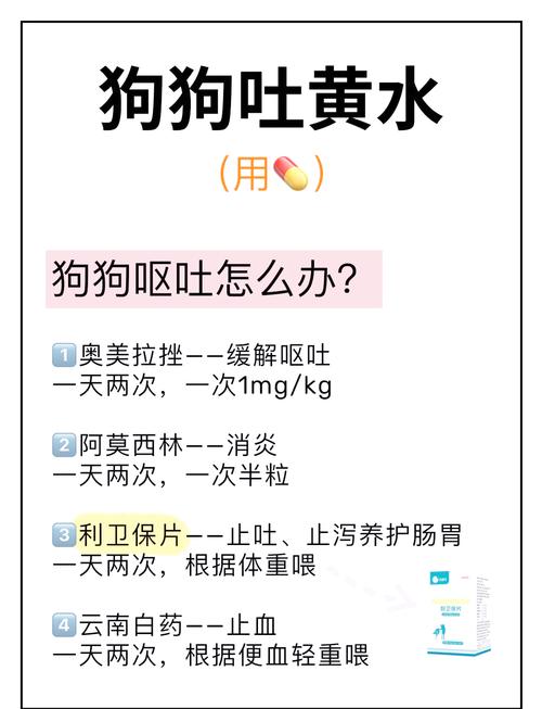 狗狗拉黑屎是什么原因?
