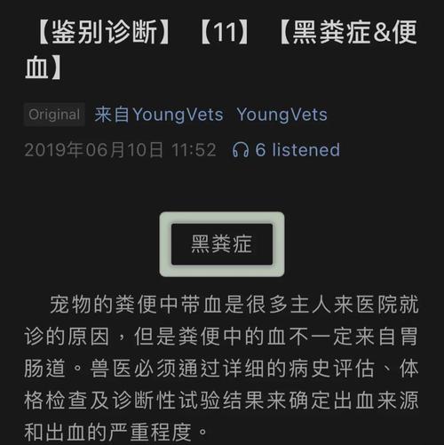 狗狗拉黑屎什么原因