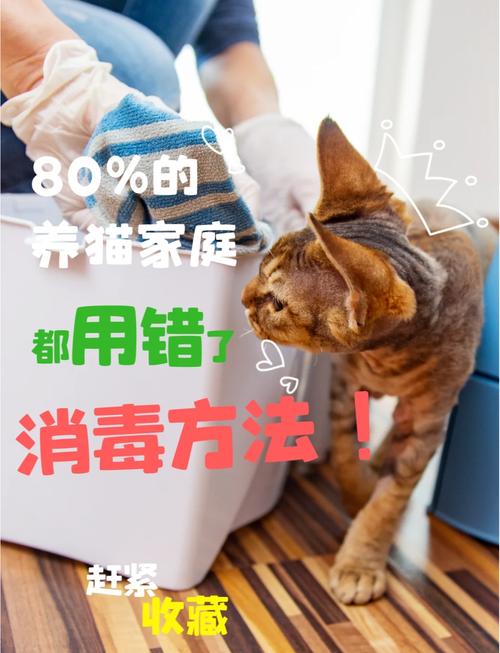 家里养猫咪用什么消毒