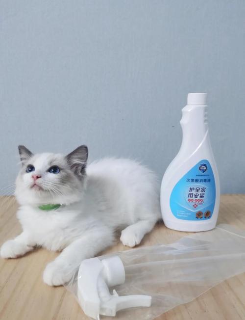 养猫的屋子用什么消毒