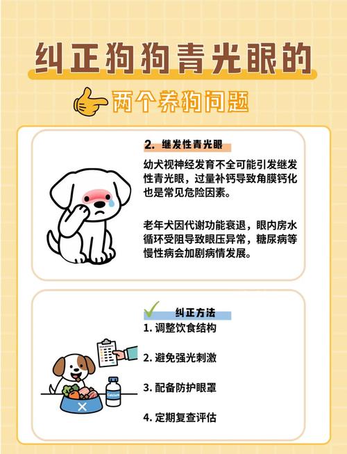 如何处理犬青光眼