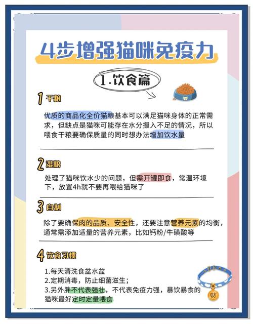 猫咪抵抗力差怎么办?提高免疫力是猫咪长寿的一大秘诀