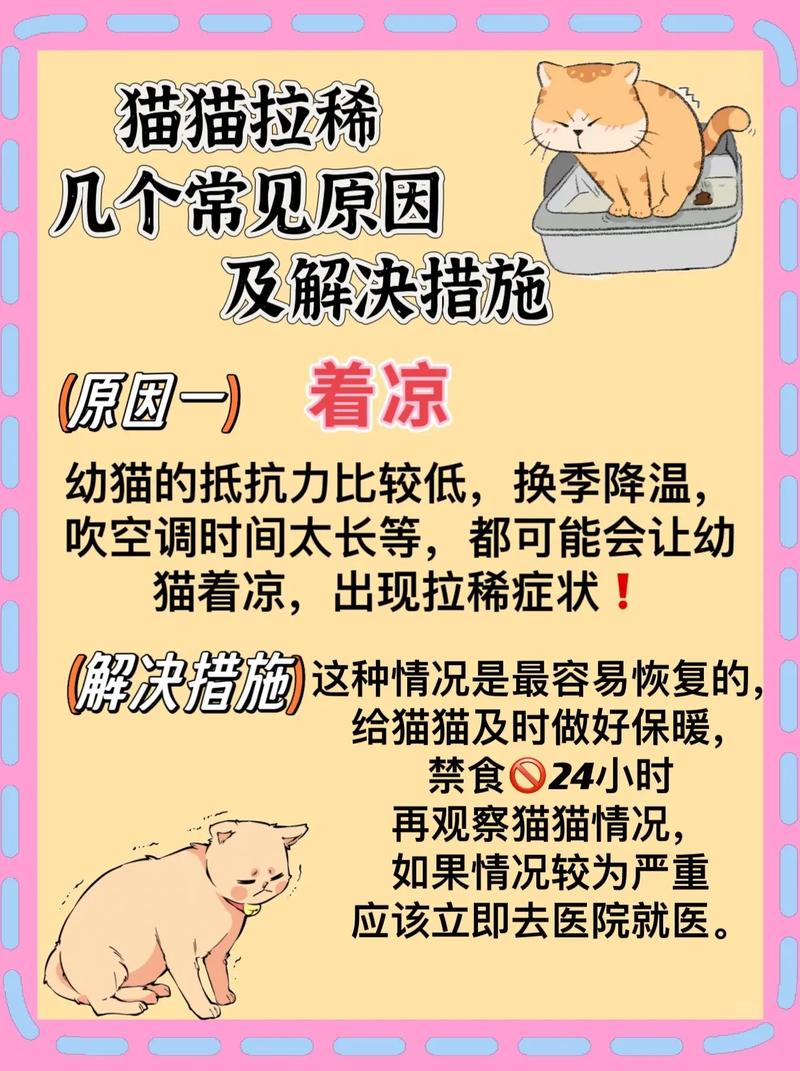 猫咪反复拉稀怎么办?在家如何自己处理和养护?