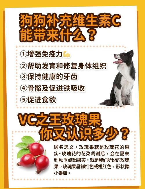 狗吃了人吃的维c片怎么办