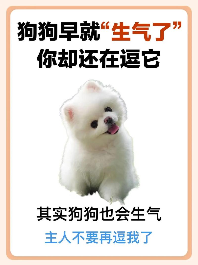 小狗脾气很大怎么办