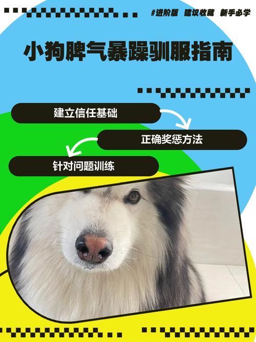 狗狗脾气特大该怎么办?