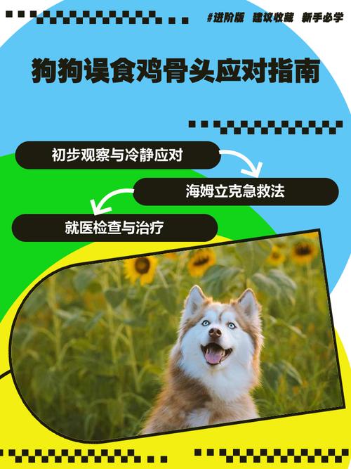 狗吃鸡骨头会怎样