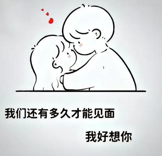 猫一到我身边就打呼噜