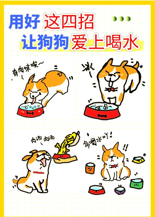 狗狗不喜欢喝水怎么办呢?