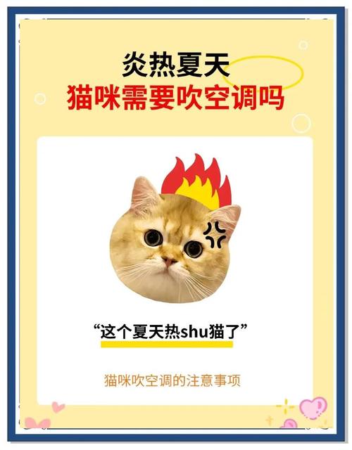 幼猫能不能吹空调