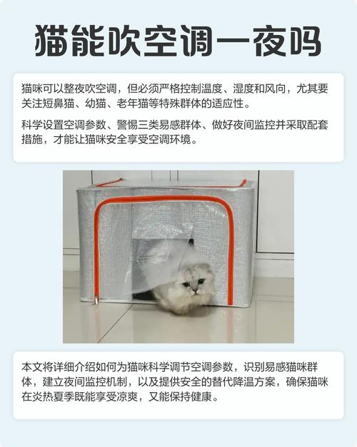 夏天猫咪太热应该怎么办?