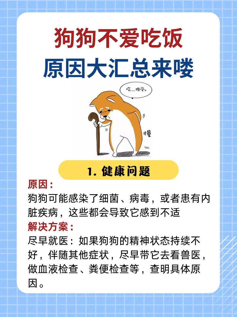 狗狗为什么不爱吃饭