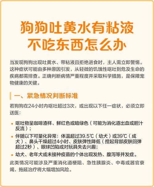夏天家里的猫猫狗狗不爱吃饭、变瘦,是正常的嘛?该如何给它们调整饮食...
