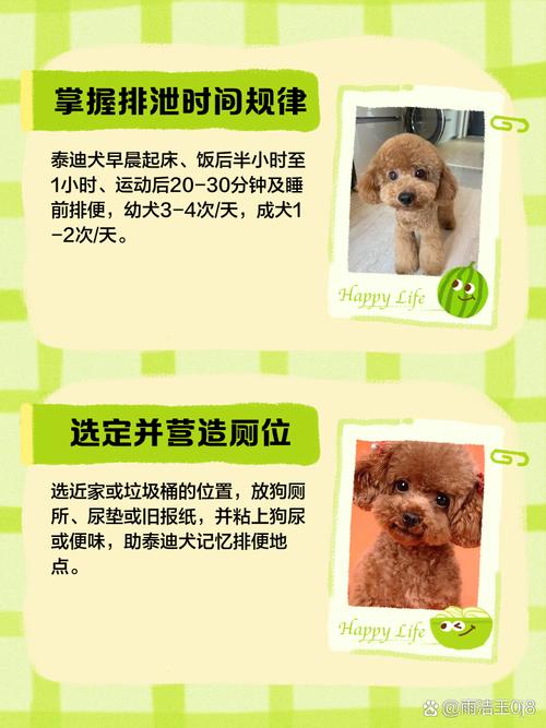 怎么教狗狗拉屎拉到指定的位置上