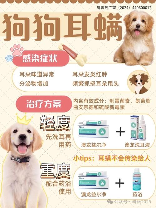 狗狗得了严重的耳螨怎么治疗