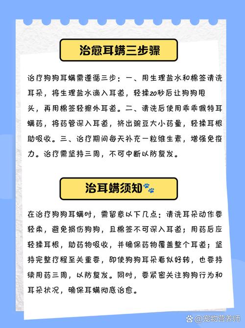 狗狗耳螨用药也一直不好怎么办