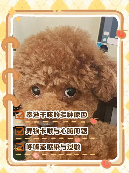 2个月的泰迪犬打喷嚏是为什么?还有挂白的问题