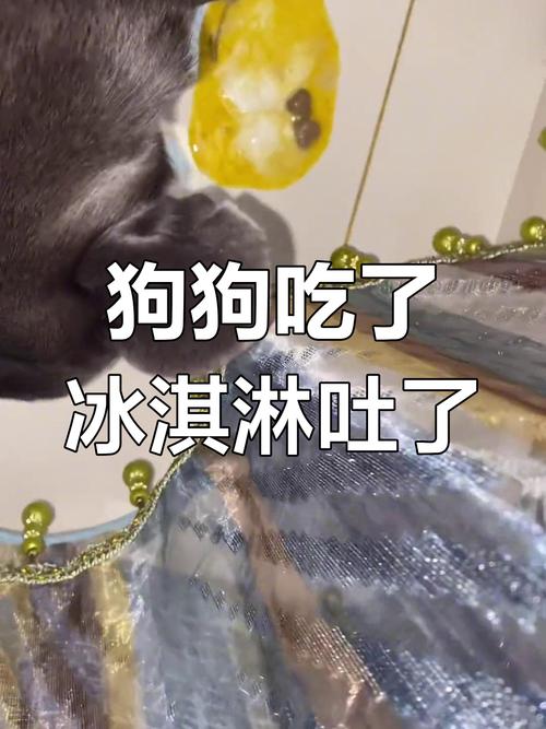 狗狗吃了冷饮会怎么样?