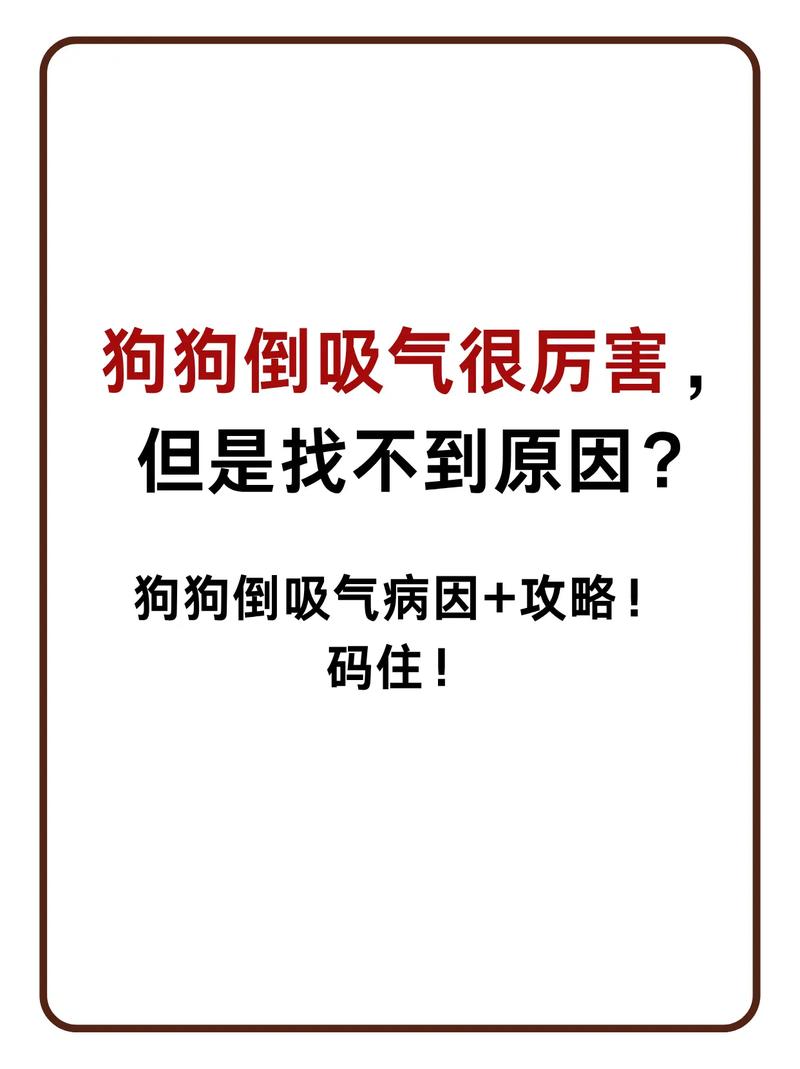 狗狗为什么吸气时发抖的厉害