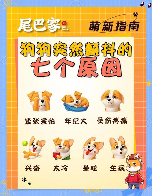 狗狗为什么会发抖