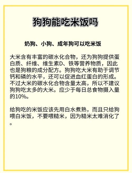 为什么狗狗不吃糯米饭了
