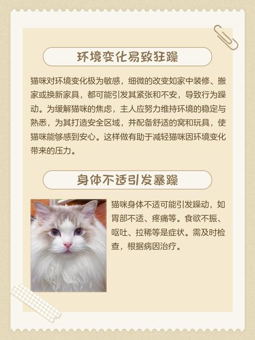 猫突然很狂躁什么原因?