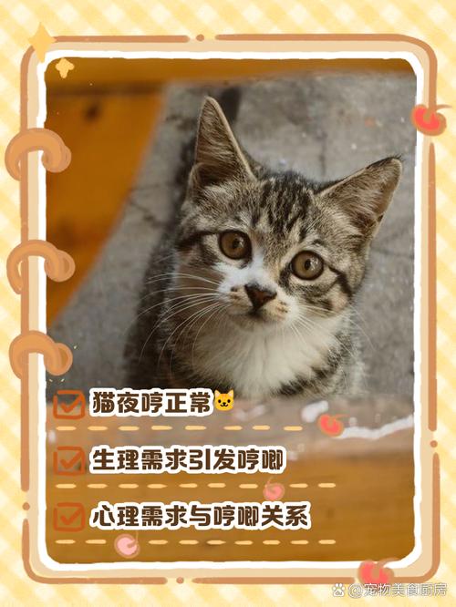 猫咪睡觉哼哼唧唧的是什么原因