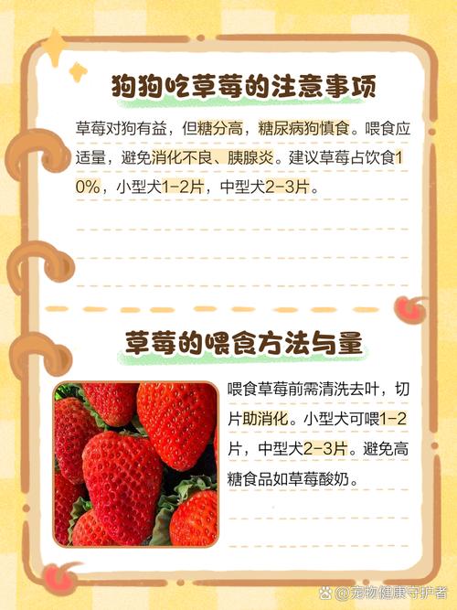 狗狗为什么能吃草莓