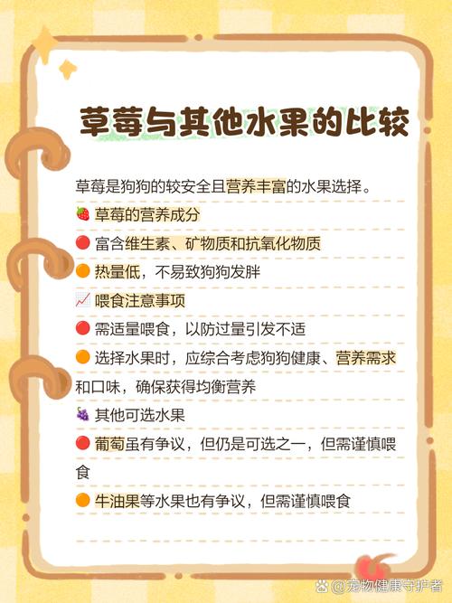 泰迪狗能吃草莓吗?