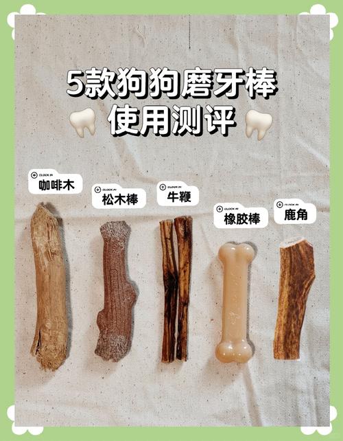 一个月大的小狗可以用磨牙棒吗
