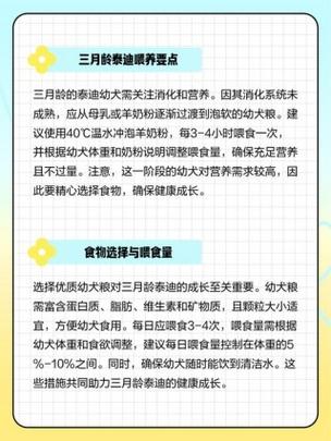 狗狗几个月能吃磨牙棒