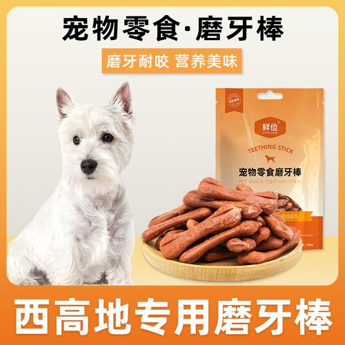 狗狗磨牙期注意事项!!!