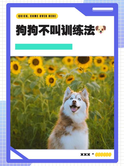 训练让狗狗不叫的方法